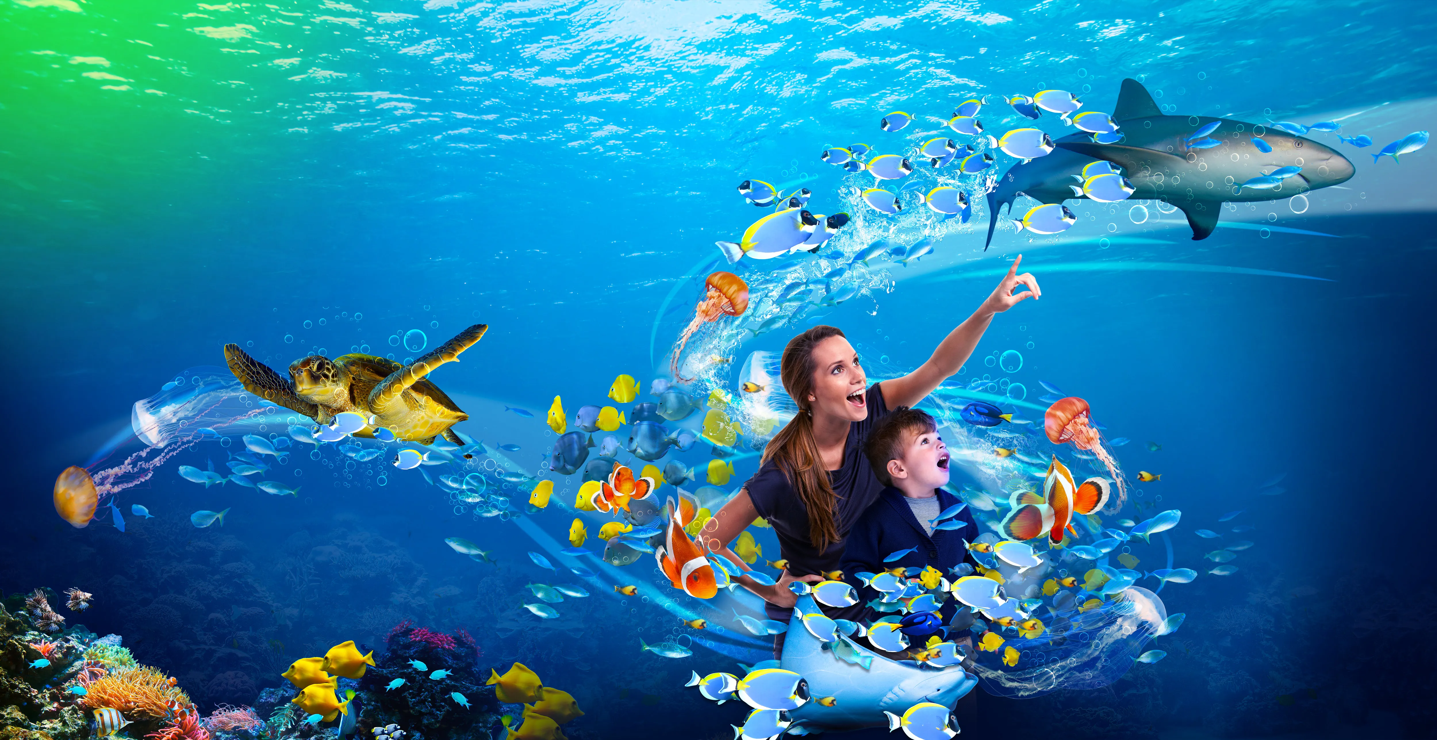 SEA LIFE Blackpool Aquarium